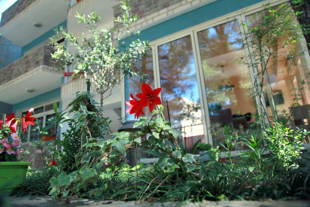 Hotel Princi I Vogel Velipojë 외부 사진